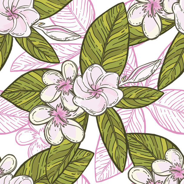 flowers pink plumeria pattern with green leaves - Вектор,изображение