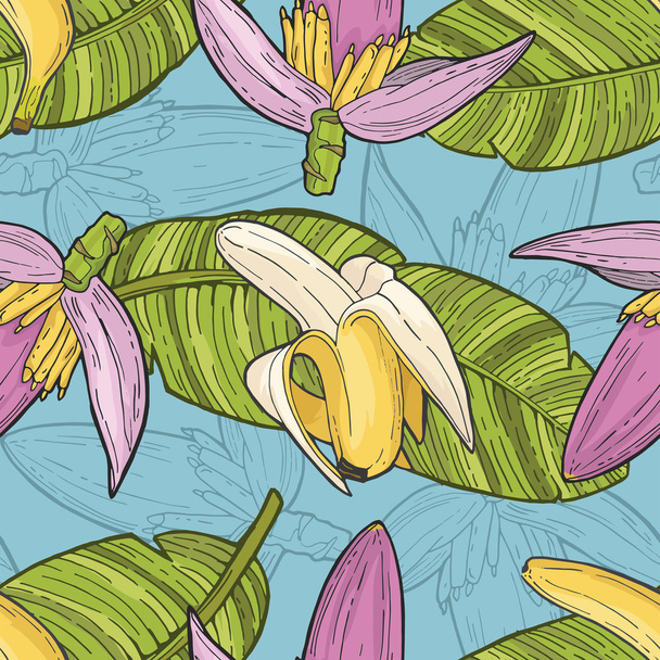 banana yellow green leaf pink flower pattern with blue backgroun - Vector, imagen