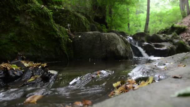  vadon élő stream Brodenbach Mosel-folyó mellett. Vízesések és kövek. vad táj. (Németország, Rheinland-Pfalz) - Felvétel, videó