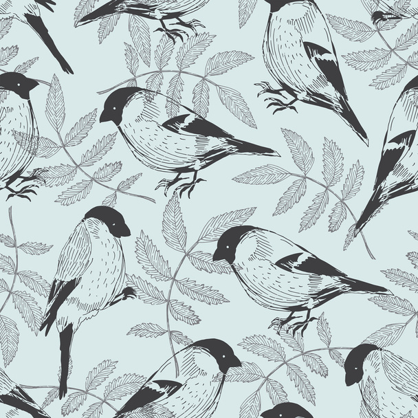 bird bullfinch pattern blue background - Vector, afbeelding