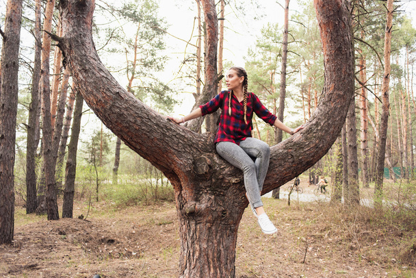 Mooi jong meisje met zittend op boom in het bos - Foto, afbeelding