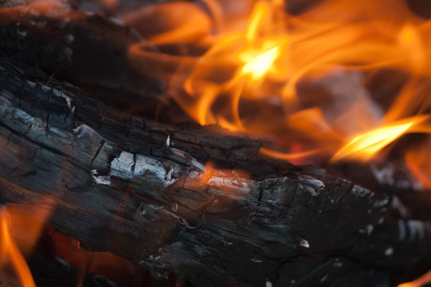 Burning Logs - Fotoğraf, Görsel