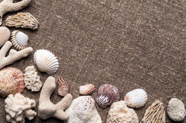 Seashells and pebbles on sacking. - 写真・画像