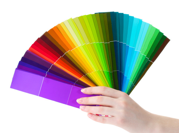main tenant palette lumineuse de couleurs isolées sur blanc
 - Photo, image