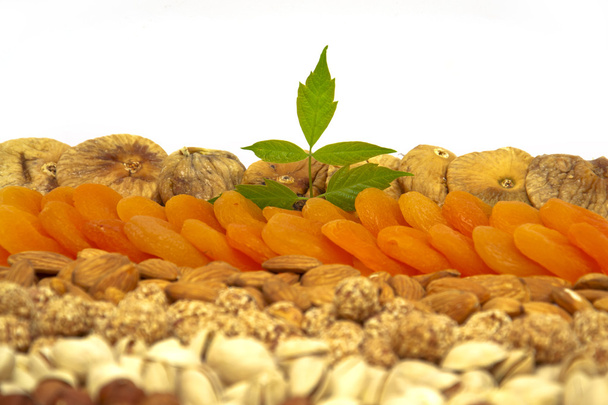 set van noten en gedroogde abrikozen-grondnoten, cashewnoten, amandelen, walnu - Foto, afbeelding