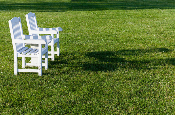 dvě zahradní židle na zeleném trávníku v zahradě - Fotografie, Obrázek