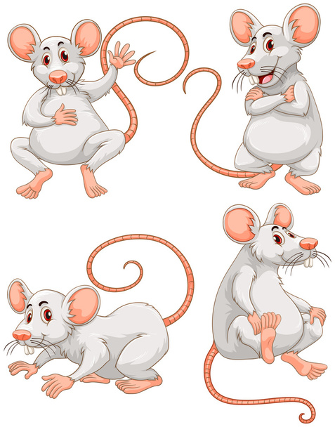 Myš v čtyři různé akce - Vektor, obrázek