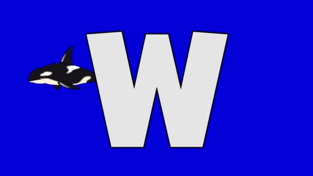 Písmeno W a velryba (pozadí) - Záběry, video