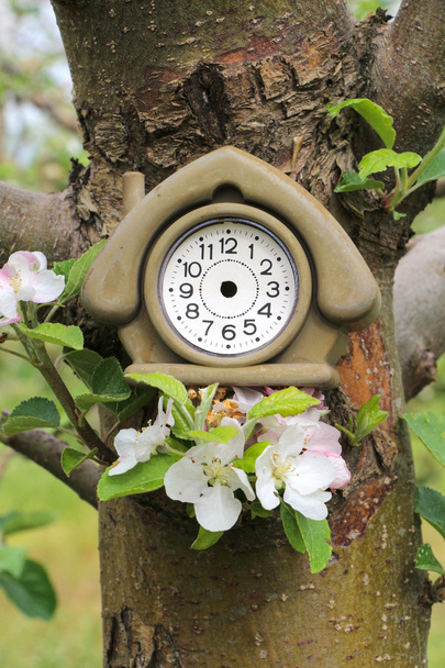  reloj despertador de forma de casa vintage
 - Foto, Imagen