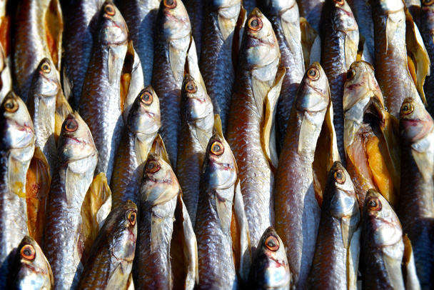 dry mullet fish in sunlight - Photo, Image