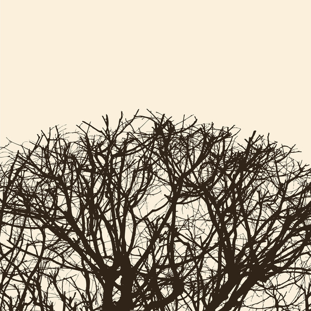 Σκιαγραφία από τα κλαδιά των δέντρων - Διάνυσμα, εικόνα