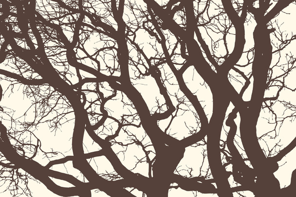 sylwetki drzew - Wektor, obraz