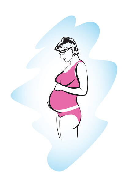 Etapy ciąży wektor - Wektor, obraz