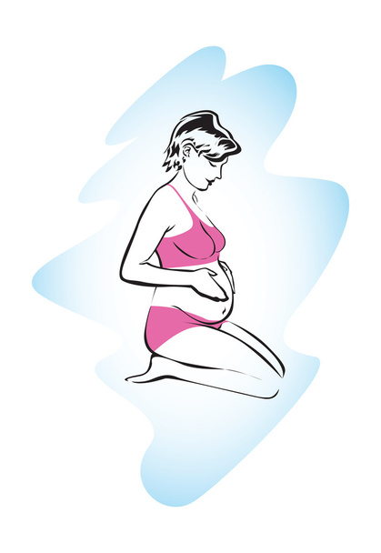 Τα στάδια της εγκυμοσύνης διάνυσμα - Διάνυσμα, εικόνα