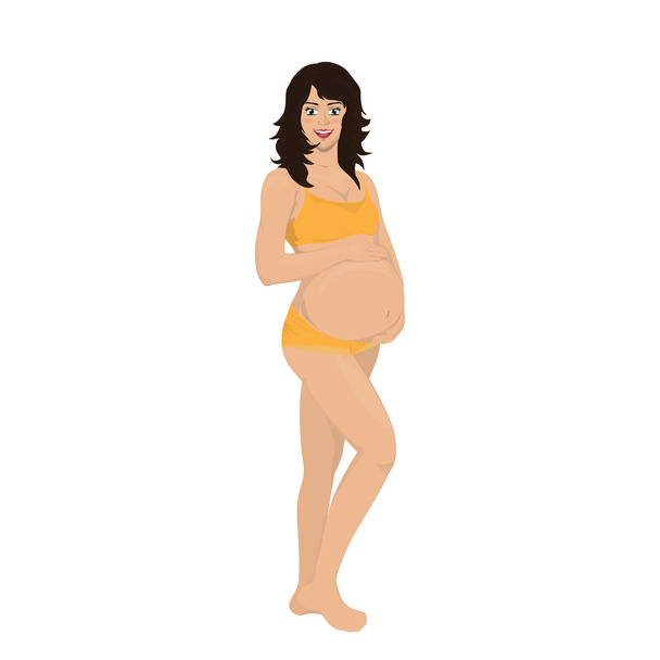 Stages of pregnancy vector - Vector, Image