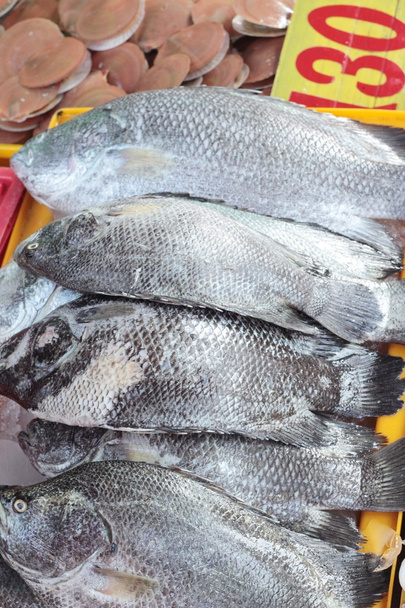 Friss halak főzés a piacon. - Fotó, kép