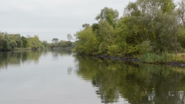 Река Гавел. типичный пейзаж с лугами и ивами. Регион Хафелланд. (Германия
) - Кадры, видео