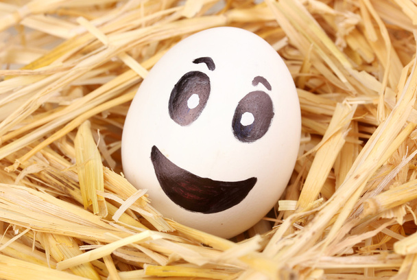 White egg with funny face in straw - Photo, Image