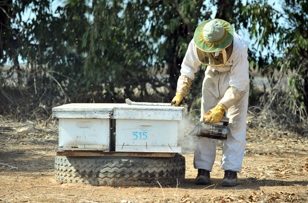του Ισραήλ μέλι βιομηχανία - Φωτογραφία, εικόνα