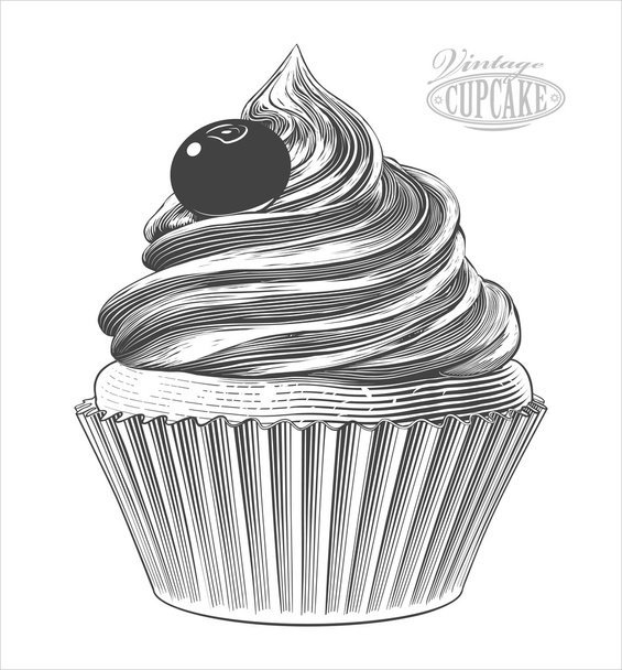 Cupcake in engraving style    - Vector, Image