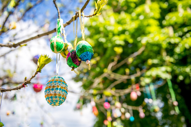 Plusieurs œufs de couleur pascale suspendus sur une branche d'arbre
  - Photo, image