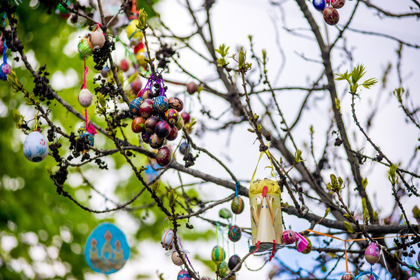 Plusieurs œufs de couleur pascale suspendus sur une branche d'arbre
  - Photo, image