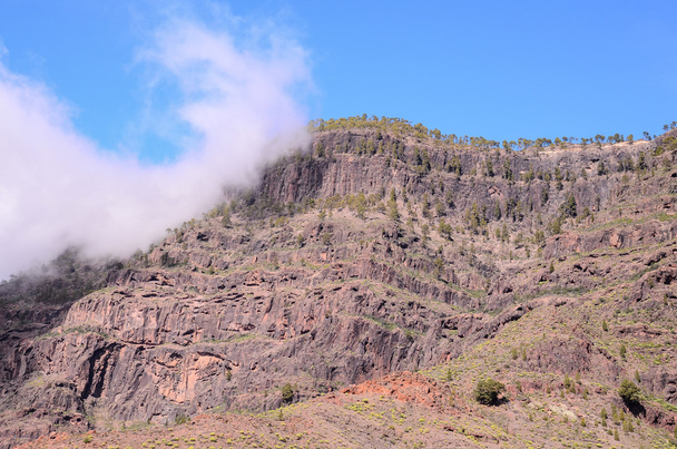 Volcanic Rock Basaltic Formation in Gran Canaria - Photo, Image