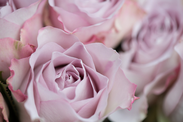 Ροζ τριαντάφυλλα διακόσμηση. Ανθοδέσμη με ροζ τριαντάφυλλα. Γαμήλια floral ρύθμιση.. - Φωτογραφία, εικόνα