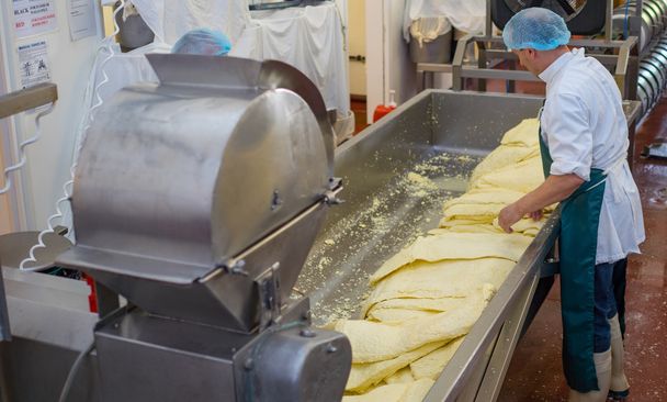 Erkekler peynir fabrikası ile işleme - Fotoğraf, Görsel