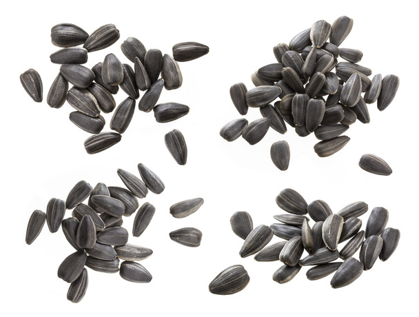 Gros plan de graines de tournesol noires isolées sur fond blanc. Pile de graines de tournesol
. - Photo, image