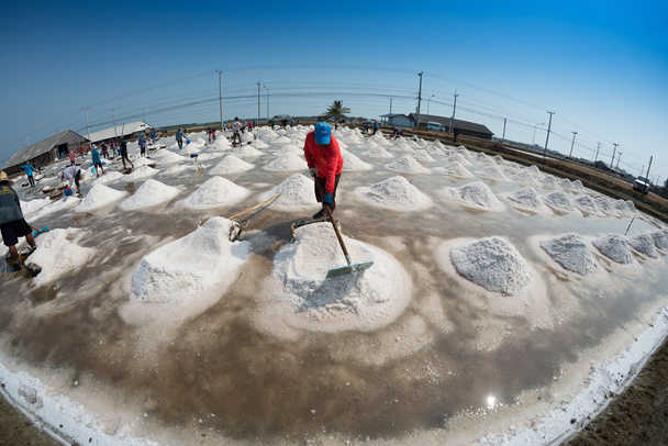 Bauern machen Salzhaufen - Foto, Bild