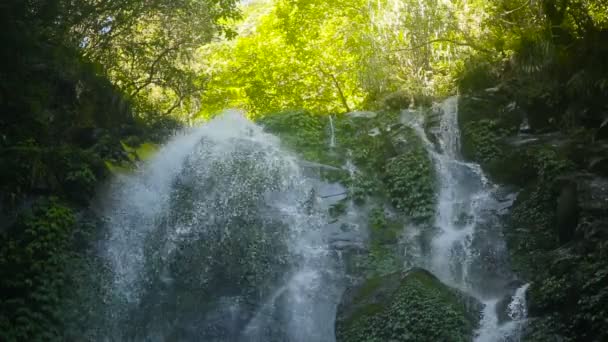 Schöner tropischer Wasserfall. - Filmmaterial, Video