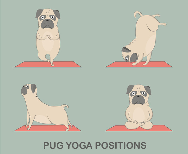 Set de pugs de yoga
 - Vector, imagen
