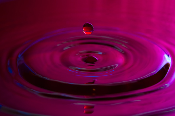 Water Drops and Ripples - Photo, Image
