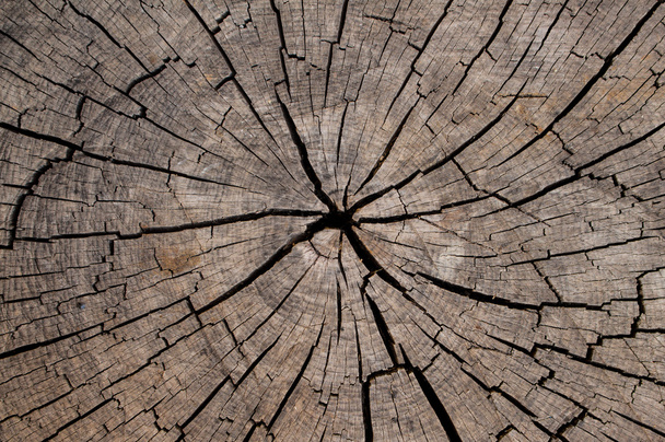 bruin houten plank met gebarsten - Foto, afbeelding