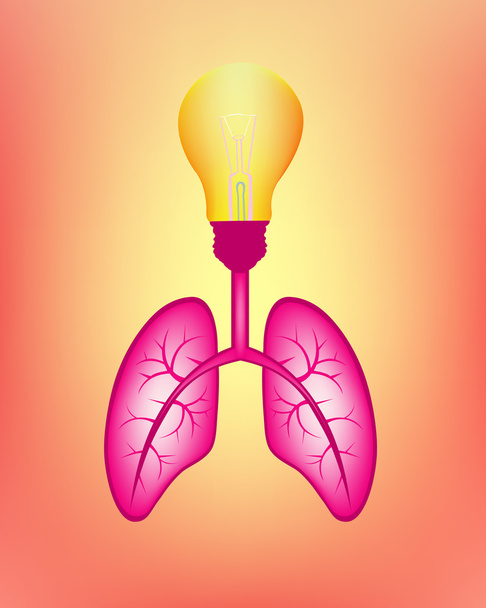 poumons Parties du corps
  - Vecteur, image