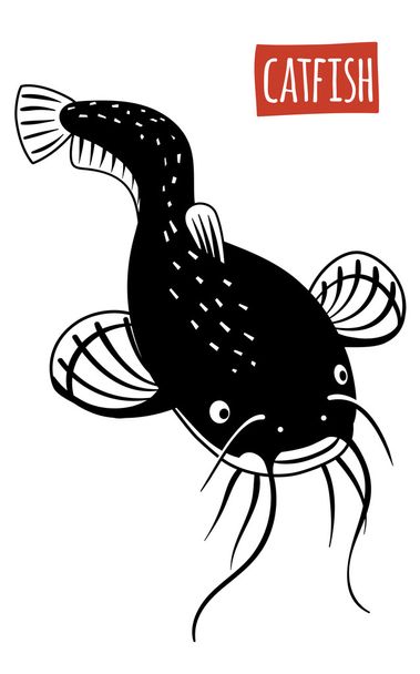 Yayın balığı, vektör karikatür çizim   - Vektör, Görsel