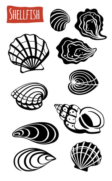 Schaal-en schelpdieren, cartoon vectorillustratie   - Vector, afbeelding