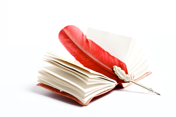 Una escritura roja en un diario
 - Foto, imagen