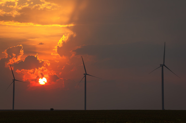 Gün batımında ayçiçeği alan ve rüzgar türbinleri - Fotoğraf, Görsel