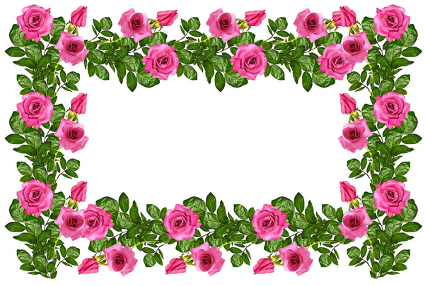 A bimbók, virágok Rózsa. Üdvözlőlap-ünnep - Fotó, kép