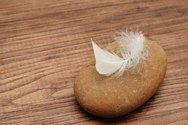 Rock and feather - Foto, Imagem