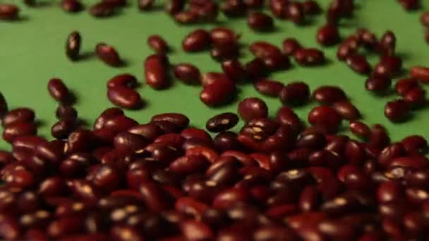 Brown beans on a green background. Slow motion. Close-up. Horizontal pan. 2 Shots - Materiaali, video