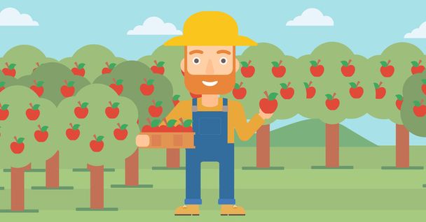 Farmer collecting apples. - Вектор, зображення