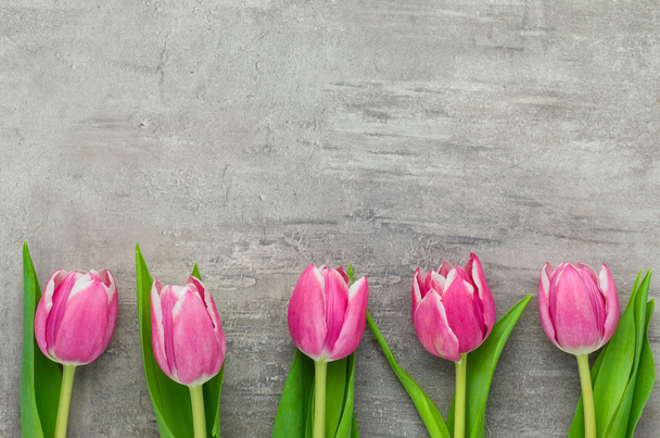 Tulipanes rosados sobre fondo gris con copyspace
 - Foto, imagen