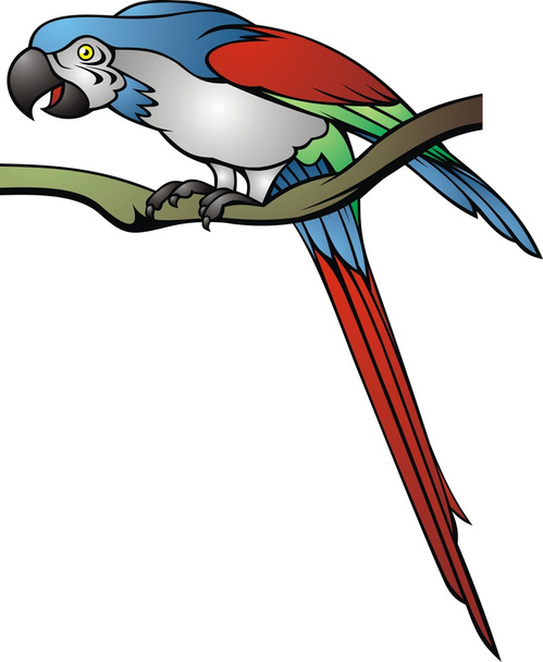 wild parrot isolated - Vector, Image