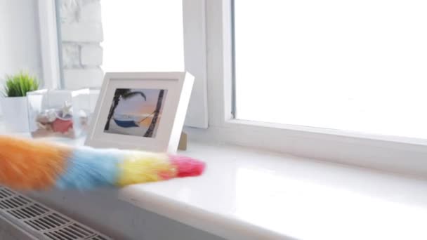 mujer con limpiador de plumas alféizar ventana en casa
 - Metraje, vídeo