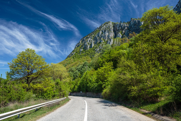  road going into the mountains - Foto, Bild