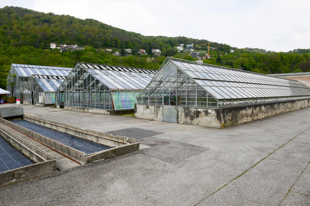 Four greenhouses at Lugano - Photo, Image