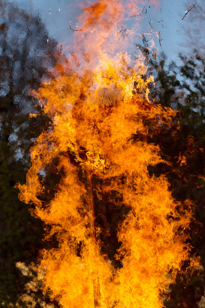 Großes Walpurgisnacht-Feuer - Foto, Bild